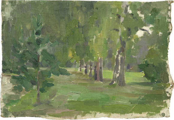 Баснина-Верхоланцева Анна Николаевна. Лес